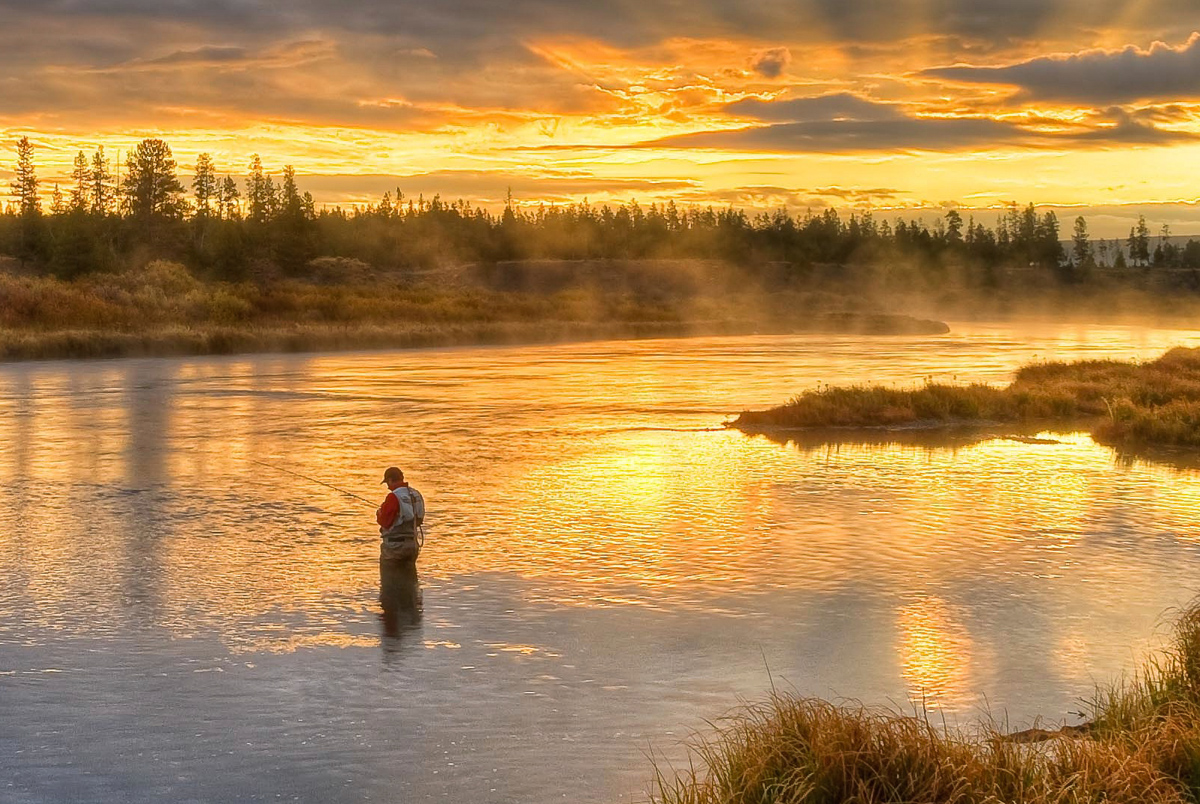 Fly Fishing On The Madison River, YNP Wyoming - The Perfect Fly Store