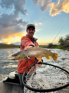 Madison River Brown Trout