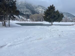 Yellowstone River at Carters Bridge