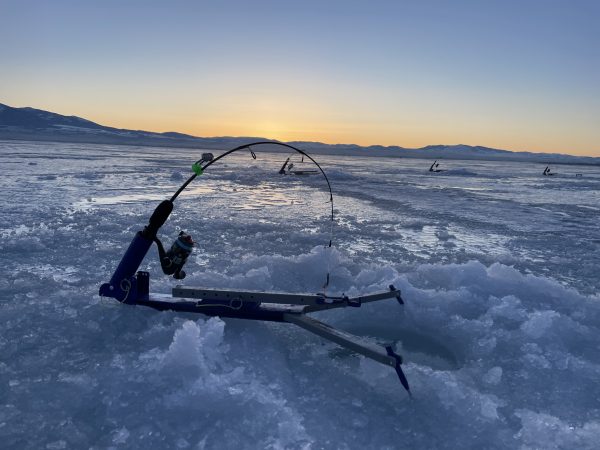 Ice Fishing Trip - Half Day