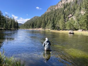 Fly fishing on the Madison Rive in Yellowstone National Park