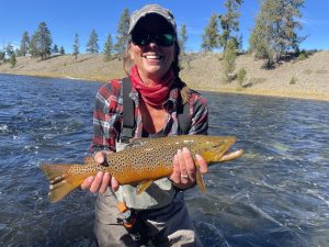 Fall Madison River brown trout in Yellowstone National Park